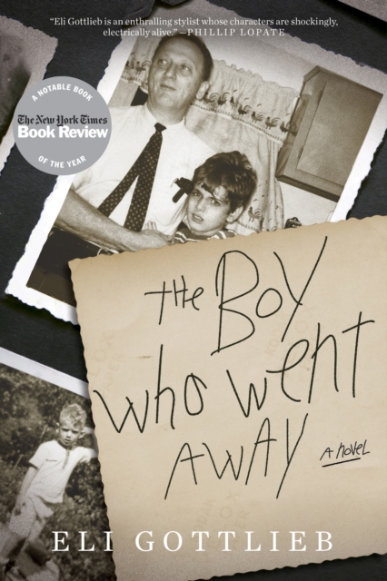 The Boy Who Went Away, EPUB eBook