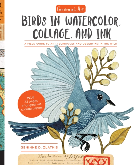 Geninne's Art: Birds in Watercolor, Collage, and Ink : A field guide to art techniques and observing in the wild, Paperback / softback Book