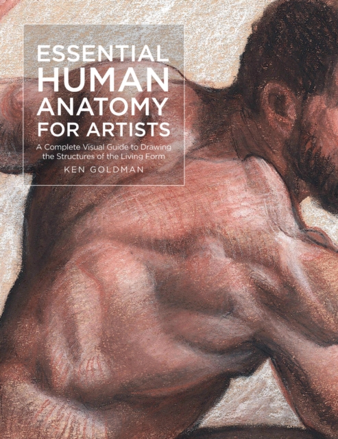 Essential Human Anatomy for Artists : A Complete Visual Guide to Drawing the Structures of the Living Form Volume 9, Paperback / softback Book