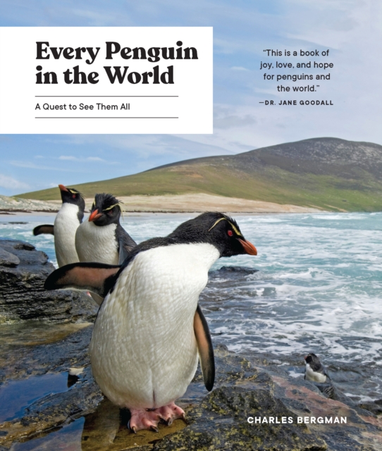 Every Penguin in the World, EPUB eBook