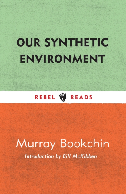 Our Synthetic Environment, Paperback / softback Book