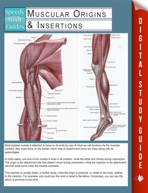 Muscular Origins & Insertions (Speedy Study Guides), EPUB eBook