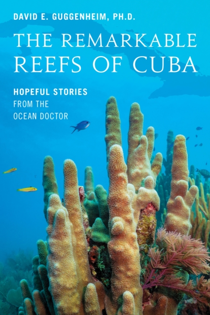 The Remarkable Reefs Of Cuba : Hopeful Stories From the Ocean Doctor, Hardback Book
