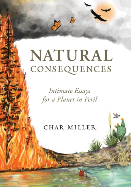 Natural Consequences, Paperback / softback Book