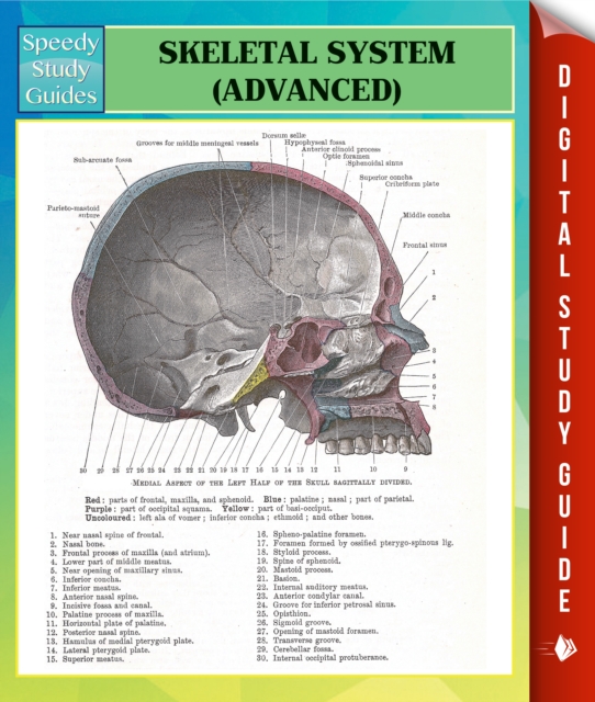 Skeletal System Advanced Speedy Study Guides, EPUB eBook