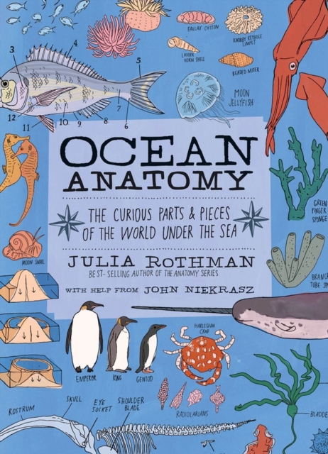 Ocean Anatomy : The Curious Parts & Pieces of the World under the Sea, Paperback / softback Book