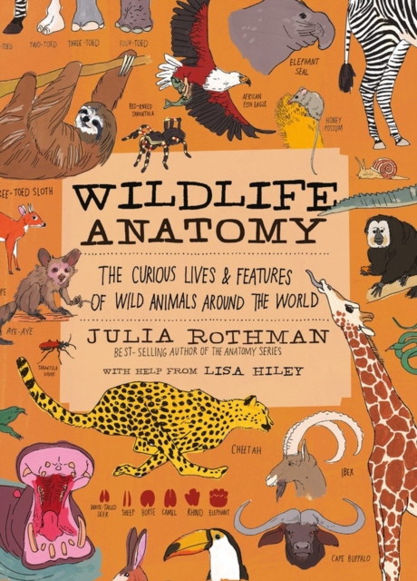 Wildlife Anatomy : The Curious Lives & Features of Wild Animals around the World, Paperback / softback Book