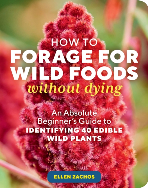 How to Forage for Wild Foods without Dying : An Absolute Beginner's Guide to Identifying 40 Edible Wild Plants, Paperback / softback Book