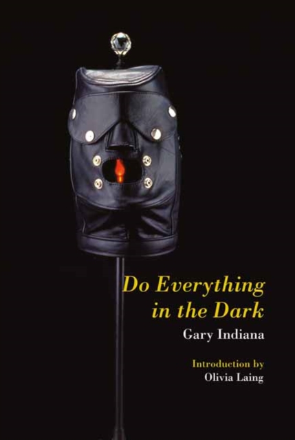 Do Everything in the Dark, Paperback / softback Book