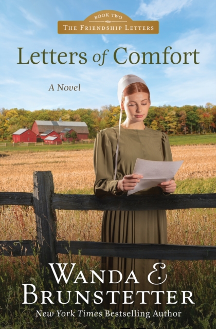 Letters of Comfort, EPUB eBook