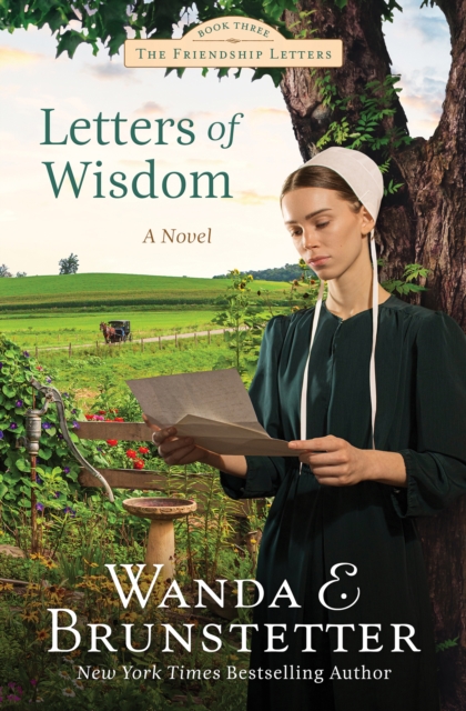 Letters of Wisdom : Friendship Letters #3, EPUB eBook
