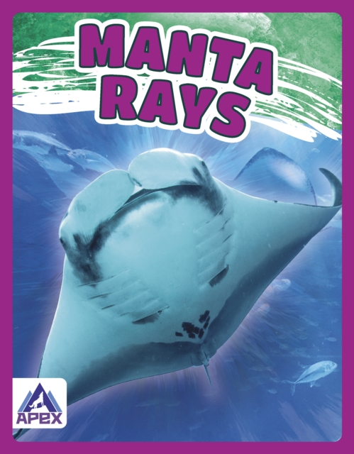 Giants of the Sea: Manta Rays, Paperback / softback Book