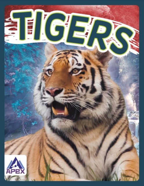 Wild Cats: Tigers, Paperback / softback Book