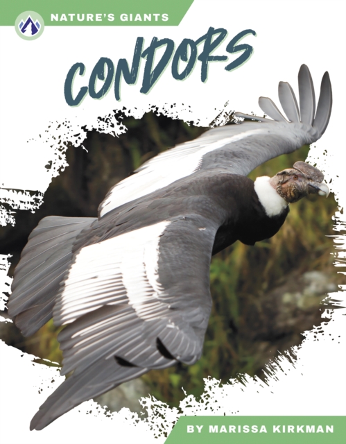 Nature's Giants: Condors, Paperback / softback Book
