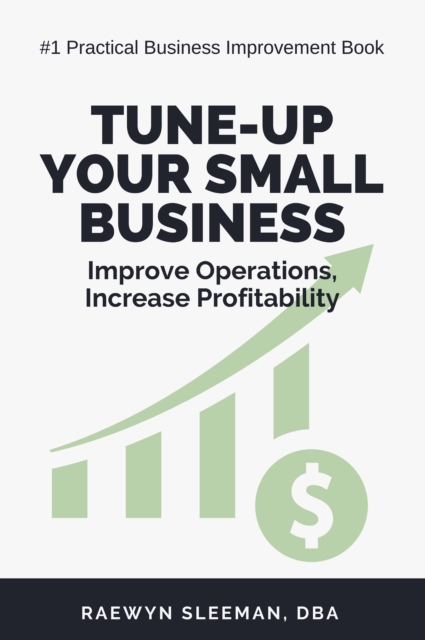 Tune-Up Your Small Business : Improve Operations, Increase Profitability, EPUB eBook