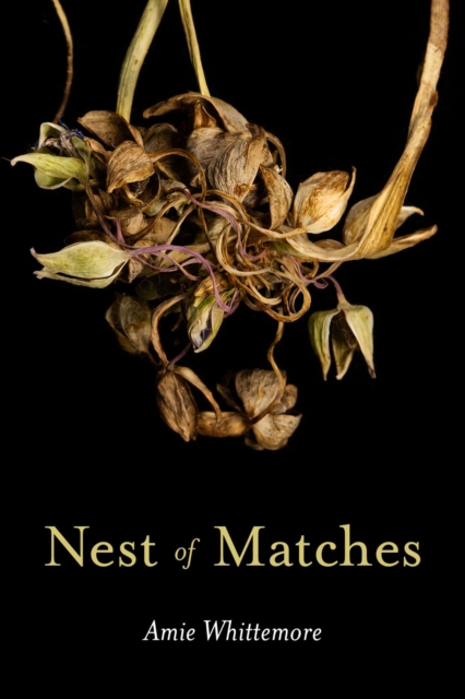 Nest of Matches, EPUB eBook