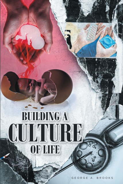 Building a Culture of Life, EPUB eBook