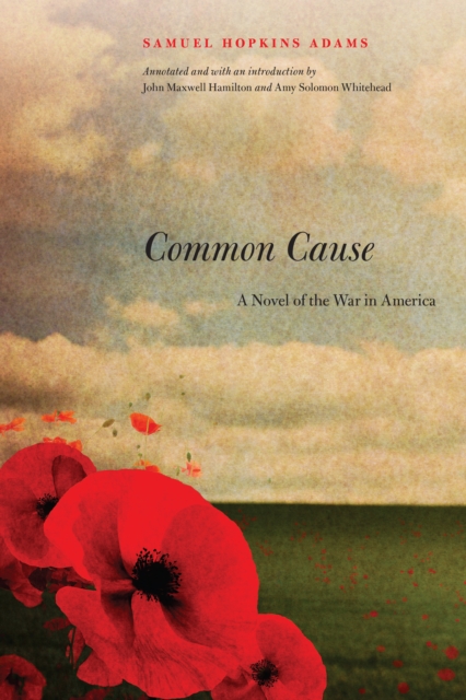 Common Cause : A Novel of the War in America, Paperback / softback Book