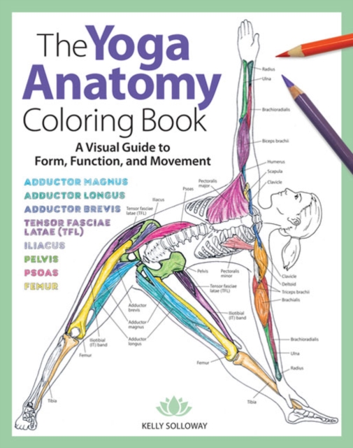 The Yoga Anatomy Coloring Book : A Visual Guide to Form, Function, and Movement, Paperback / softback Book