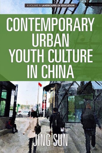 Contemporary Urban Youth Culture in China : A Multiperspectival Cultural Studies of Internet Subcultures, Hardback Book