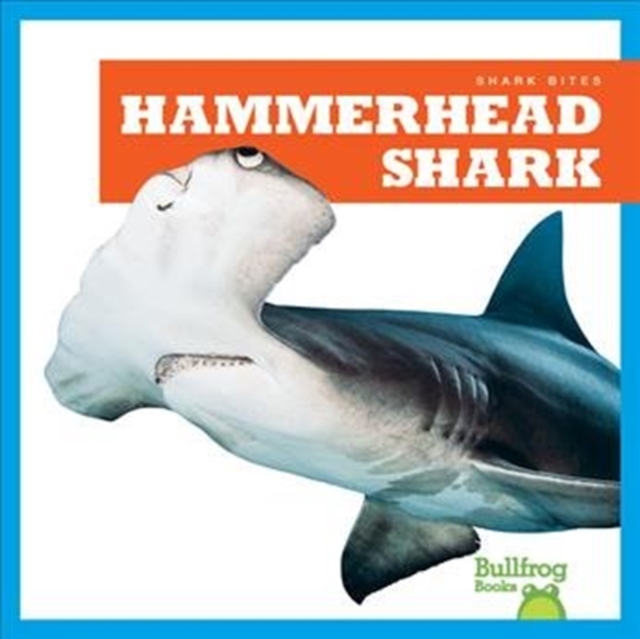 Hammerhead Shark, Hardback Book
