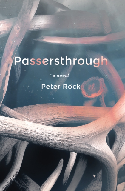 Passersthrough, Hardback Book