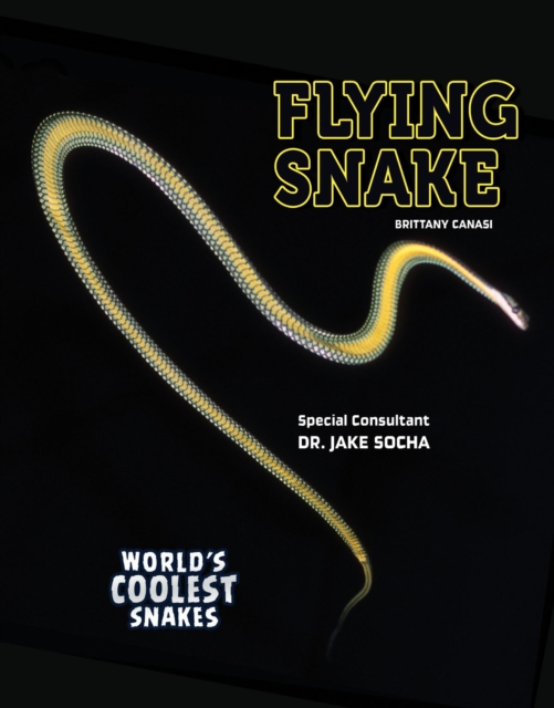 Flying Snake, PDF eBook