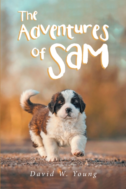 The Adventures of Sam, EPUB eBook