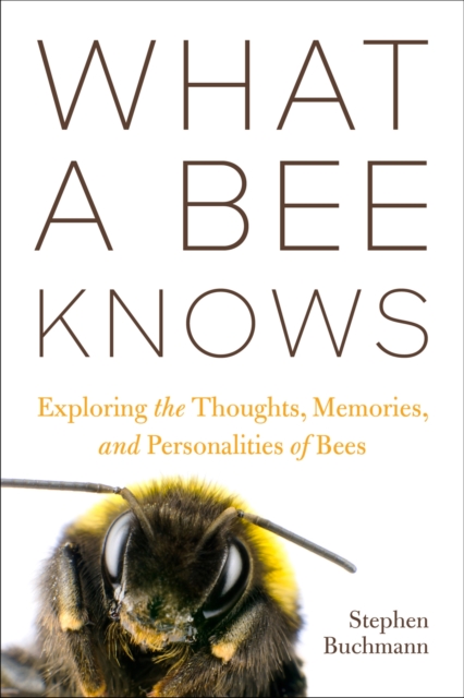 What a Bee Knows : Exploring the Thoughts, Memories, and Personalities of Bees, Hardback Book