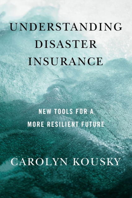 Understanding Disaster Insurance : New Tools for a More Resilient Future, EPUB eBook