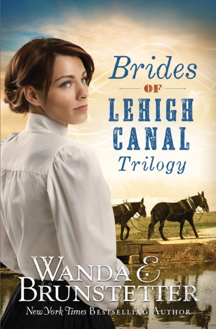 Brides of Lehigh Canal Trilogy, EPUB eBook