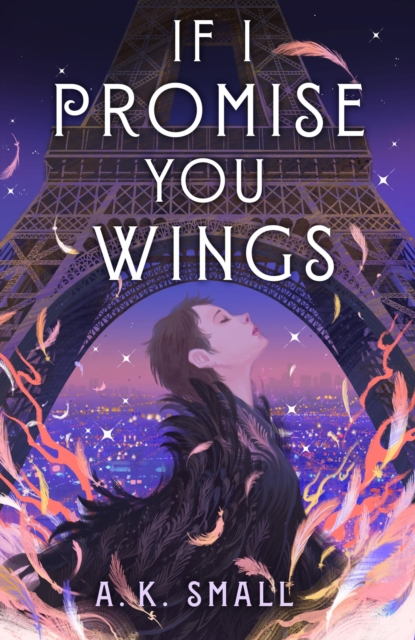 If I Promise You Wings, Hardback Book