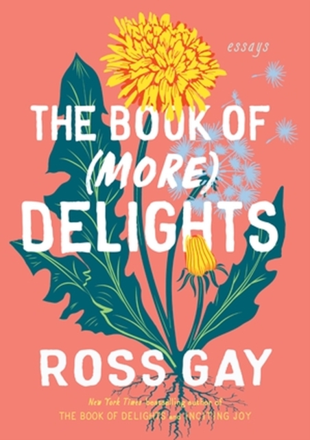 The Book of (More) Delights : Essays, Hardback Book