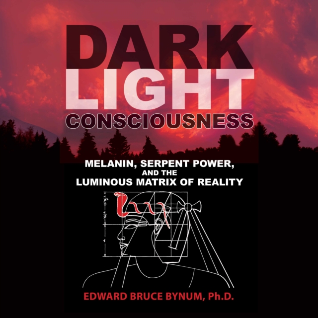 Dark Light Consciousness : Melanin, Serpent Power, and the Luminous Matrix of Reality, eAudiobook MP3 eaudioBook