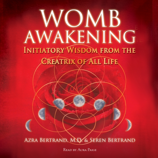Womb Awakening : Initiatory Wisdom from the Creatrix of All Life, eAudiobook MP3 eaudioBook
