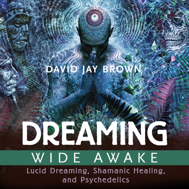 Dreaming Wide Awake : Lucid Dreaming, Shamanic Healing, and Psychedelics, eAudiobook MP3 eaudioBook