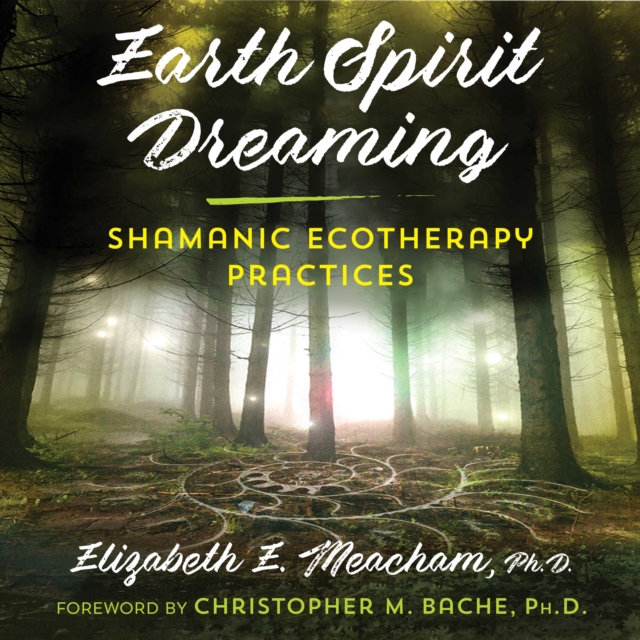 Earth Spirit Dreaming : Shamanic Ecotherapy Practices, eAudiobook MP3 eaudioBook