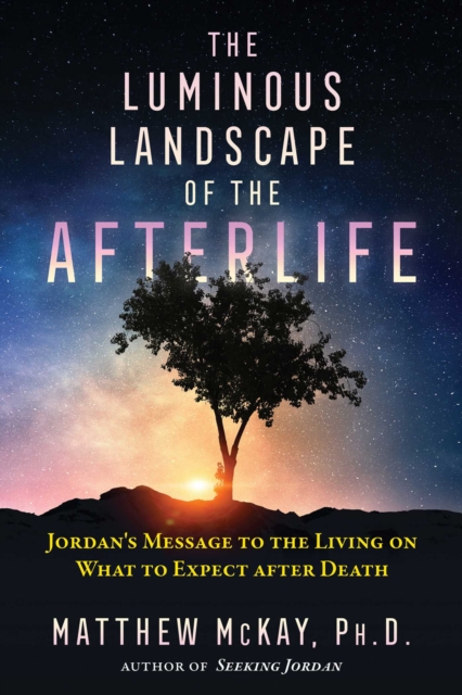 The Luminous Landscape of the Afterlife : Jordan's Message to the Living on What to Expect after Death, Paperback / softback Book
