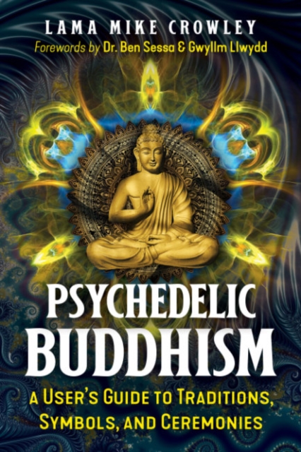 Psychedelic Buddhism : A User's Guide to Traditions, Symbols, and Ceremonies, Paperback / softback Book