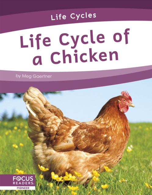 Life Cycles: Life Cycle of a Chicken, Hardback Book
