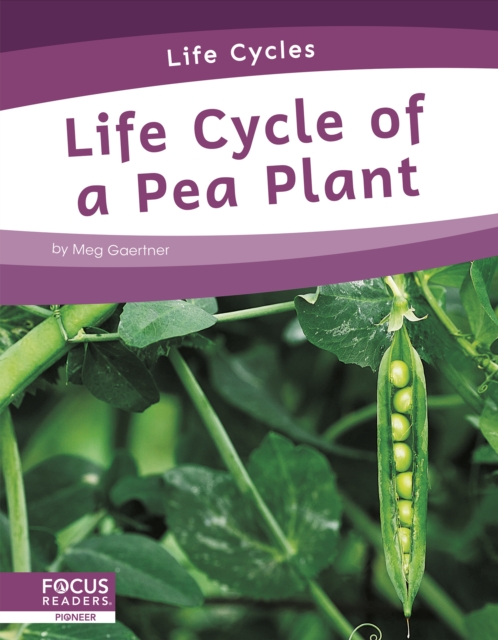 Life Cycles: Life Cycle of a Pea Plant, Hardback Book