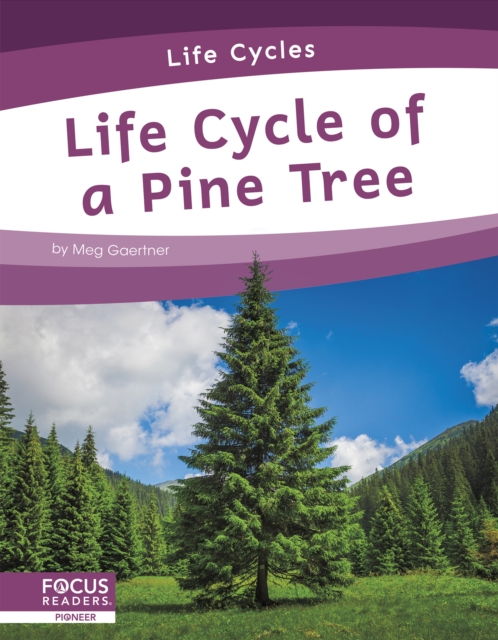Life Cycles: Life Cycle of a Pine Tree, Paperback / softback Book