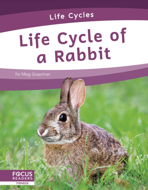 Life Cycles: Life Cycle of a Rabbit, Paperback / softback Book