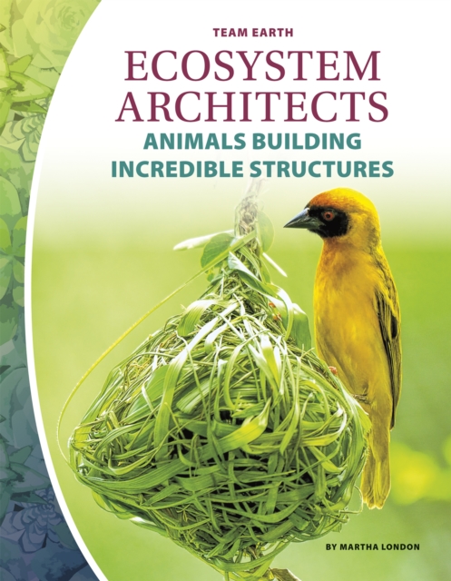Team Earth: Ecosystem Architects, Paperback / softback Book