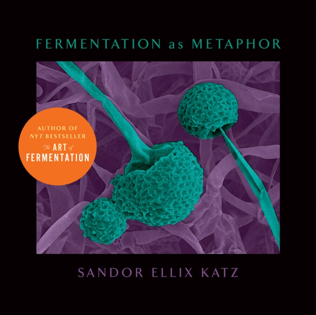 Fermentation as Metaphor : From the Author of the Bestselling "The Art of Fermentation", Hardback Book