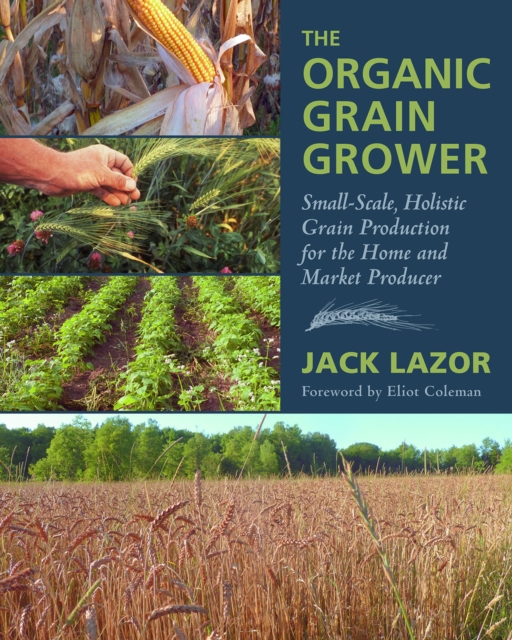 The Organic Grain Grower : Small-Scale, Holistic Grain Production for the Home and Market Producer, Paperback / softback Book