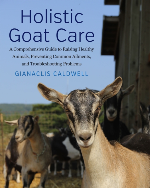 Holistic Goat Care : A Comprehensive Guide to Raising Healthy Animals, Preventing Common Ailments, and Troubleshooting Problems, Paperback / softback Book