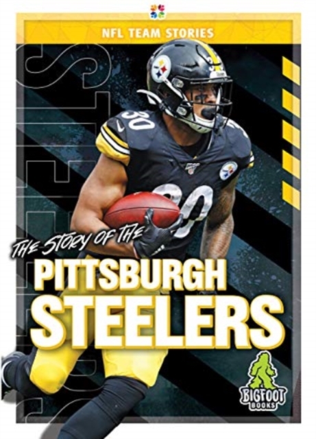 The Story of the Pittsburgh Steelers, Hardback Book