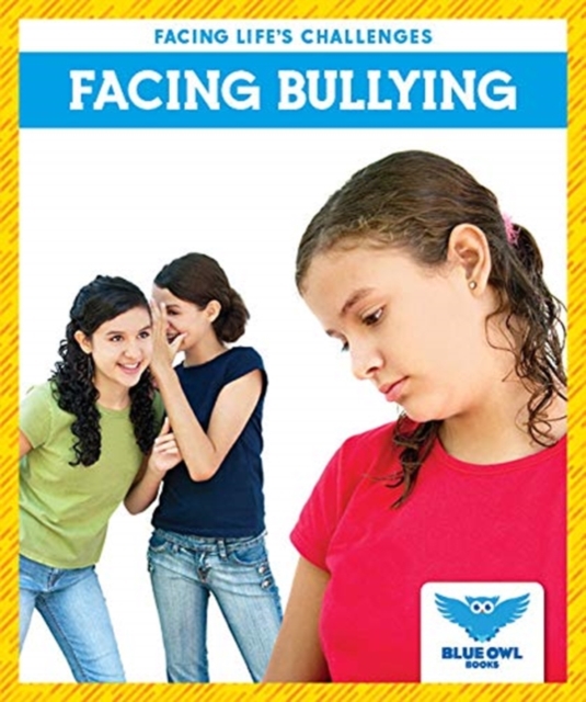 Facing Bullying, Hardback Book