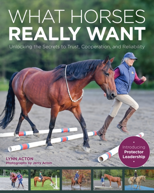What Horses Really Want : Unlocking the Secrets to Trust, Cooperation and Reliability, EPUB eBook